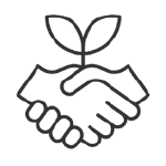 Klimagerechtes Bauen